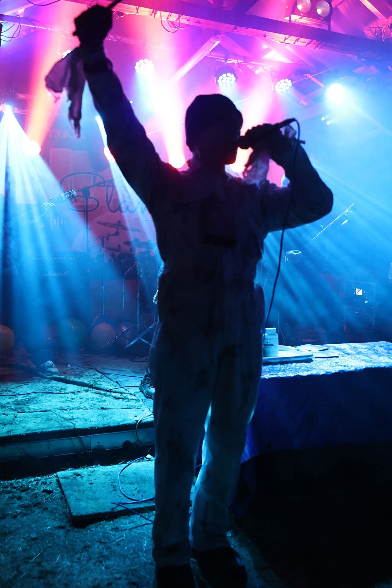 Virya performance